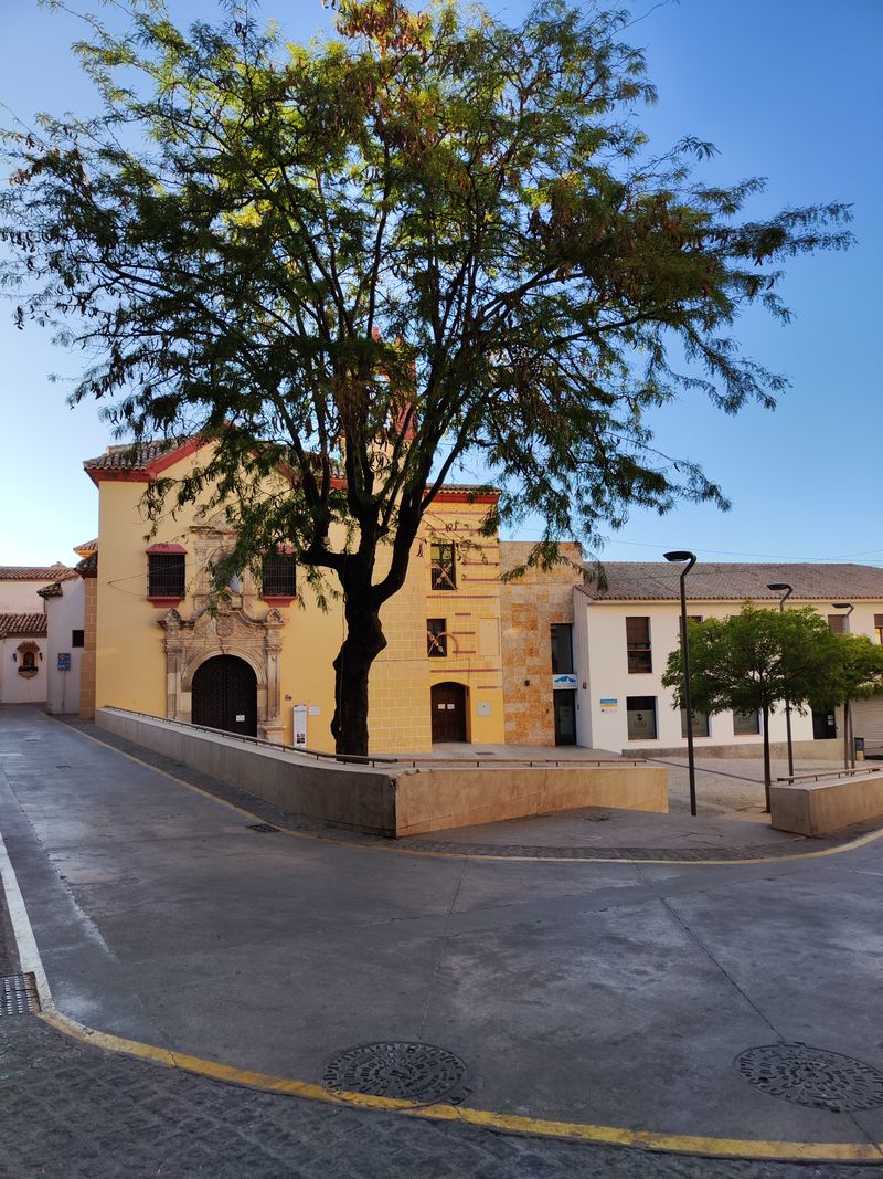 Plaza de Priego de Córdoba con un edificio histórico de fachada ocre y un árbol grande